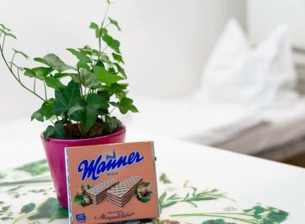 Contactless Check-in Located Netflix&nespresso Accommodatie bij particulieren Wenen